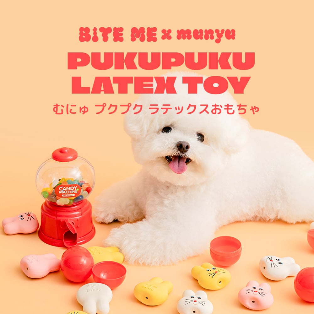 ジャンケットバンク ヘアゴム 9種コンプリートセット ジャンケットバンク ヘアゴム 9種コンプリートセット ジャンケット